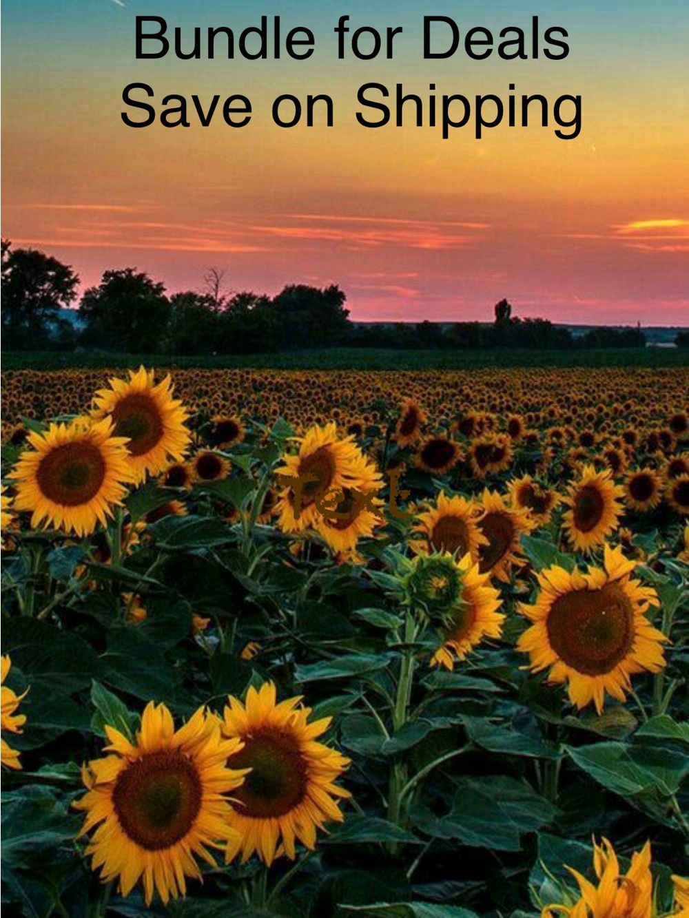 Sunflower Field Wallpaper - Yellow/Green Phone Background